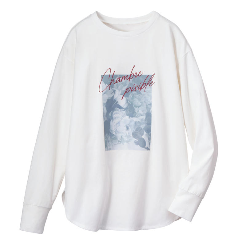 大人プリントＴシャツＡＦ２