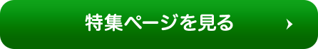 詳細を見る